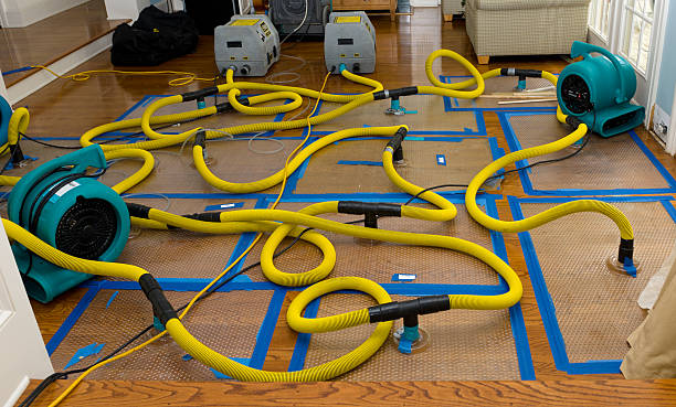Professional Water Extraction technician working in Thousand Palms, CA